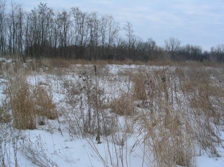 Hilltop Drive-In Theatre - The Lot Now (newer photo)